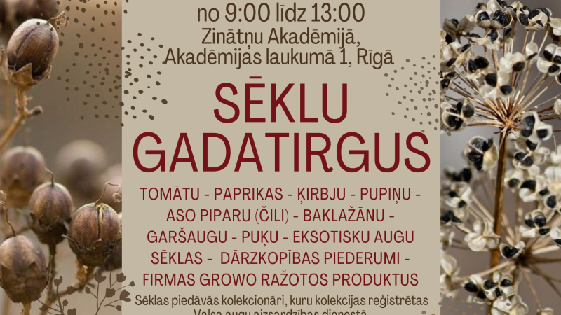 Sēklu bums janvārī