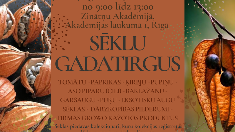 Sēklu gadatirgus