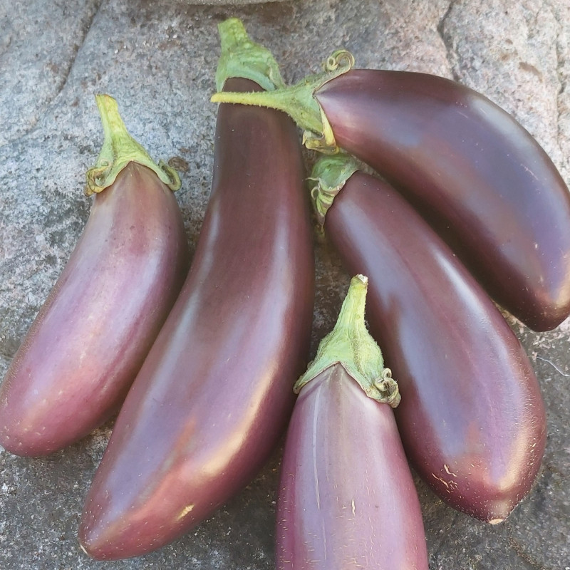 Turcijas jaukais baklažāns