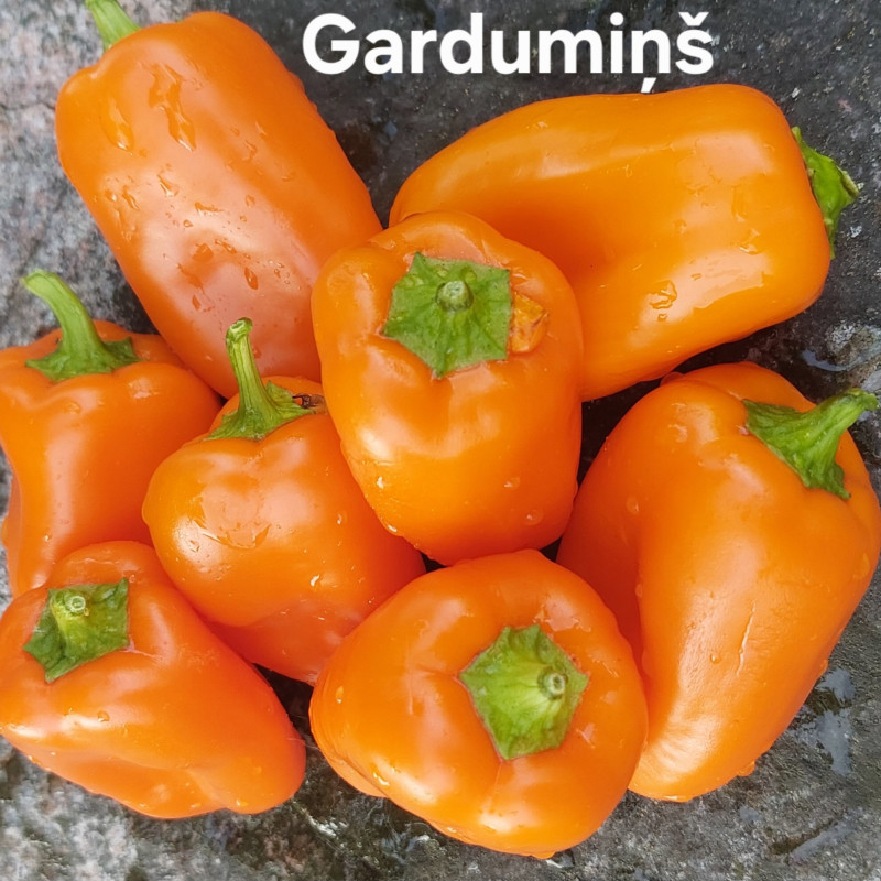 Gardumiņš saldā paprika